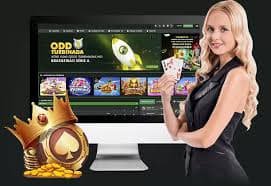 haka4d App haka4d App
